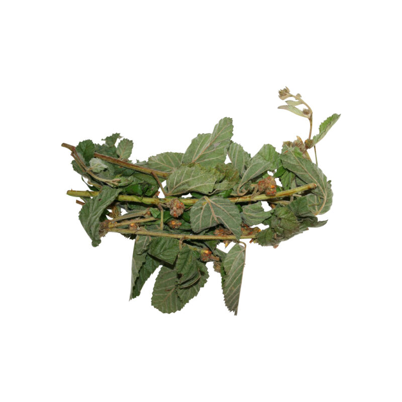 Arrasa con todo fresh herb 47376