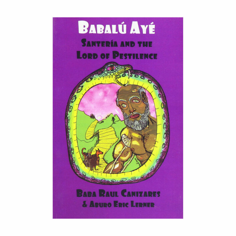Babalu aye book cover